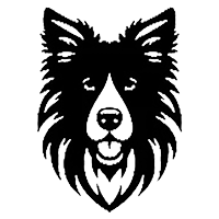 Psy 23